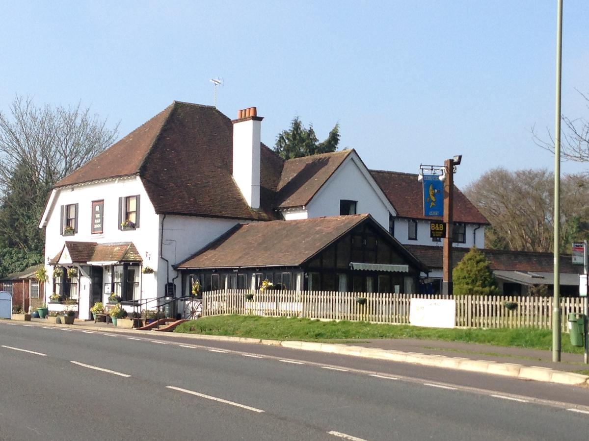 The Half Moon Hotel Petersfield Bagian luar foto